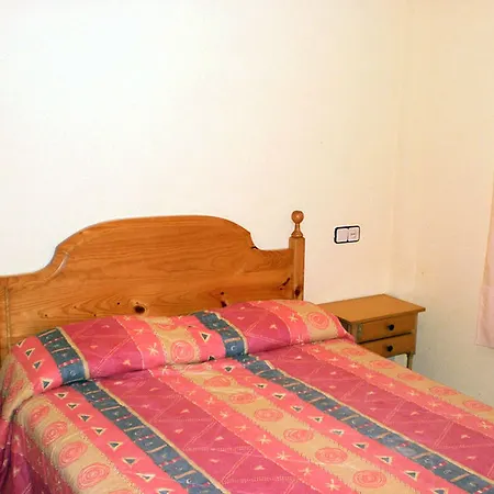 Hibiscus 3*
